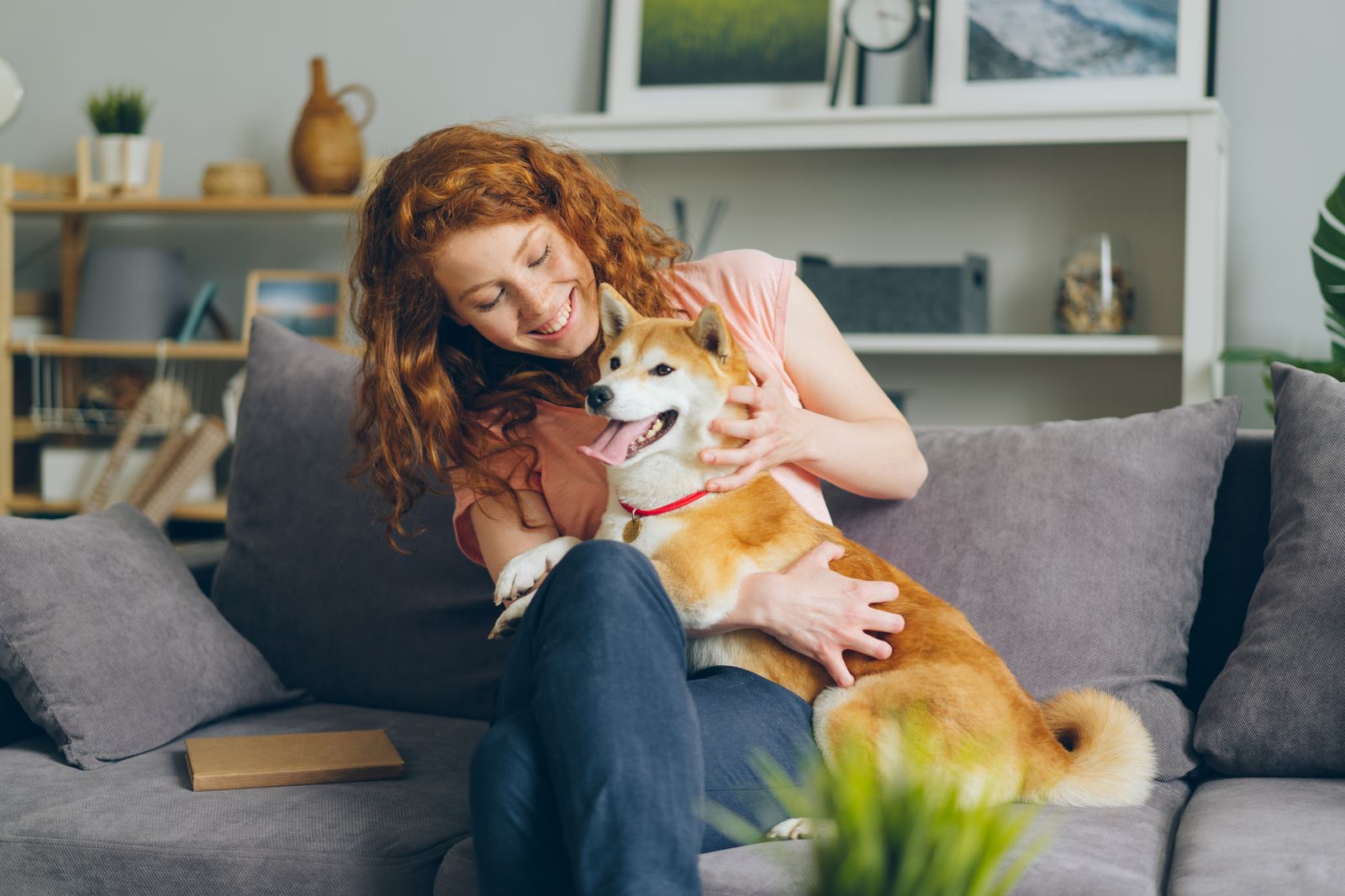 Bem-estar — Animal recuperado, em casa